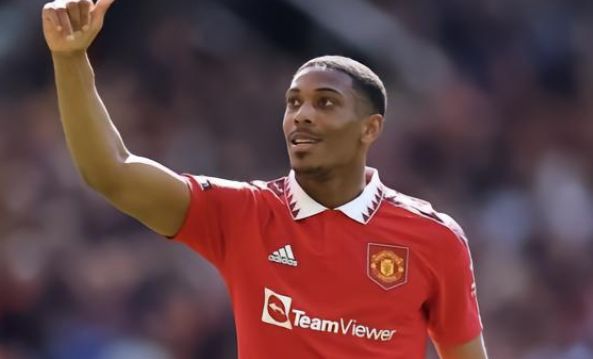 反而放大了 反而放大了