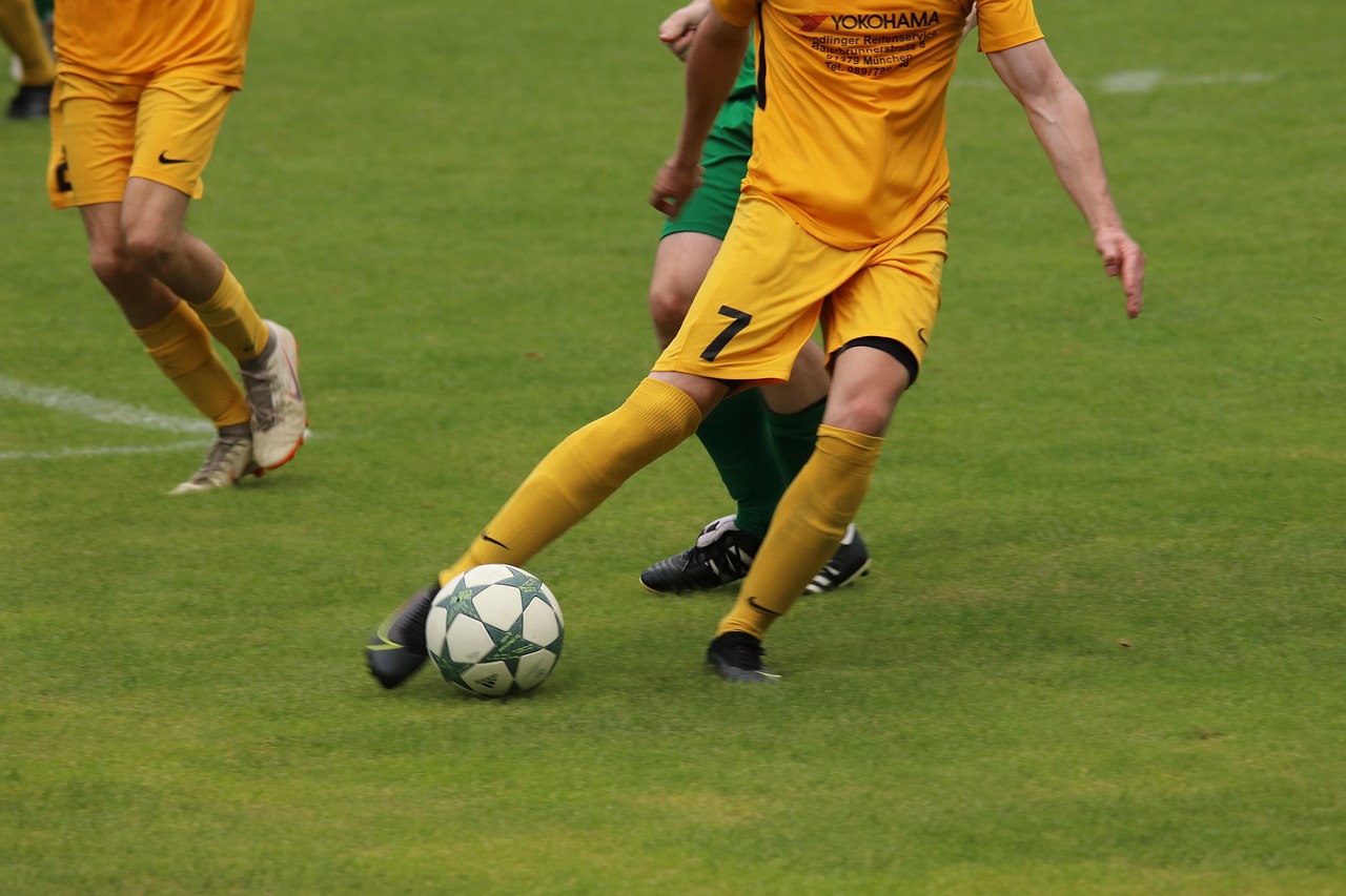 的阿爾及利 的阿爾及利